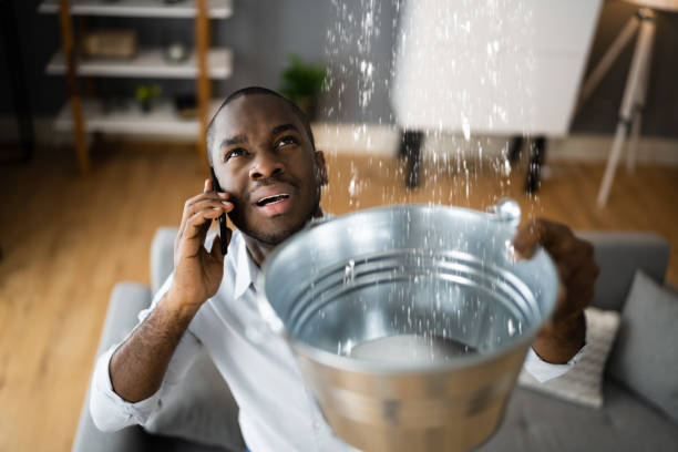 Best Ceiling water damage repair  in Vineyard, CA