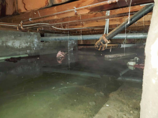 Best Emergency water damage restoration  in Vineyard, CA