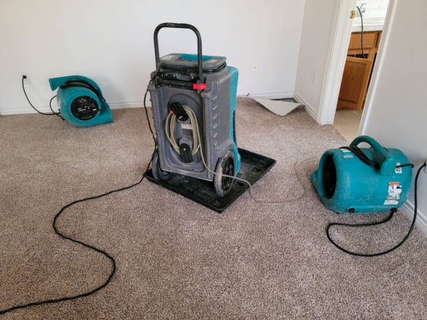 Best Local water damage restoration  in Vineyard, CA