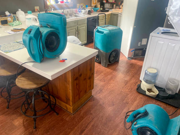 Best Mold removal after water damage  in Vineyard, CA