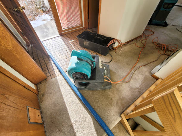 Best Basement water damage restoration  in Vineyard, CA