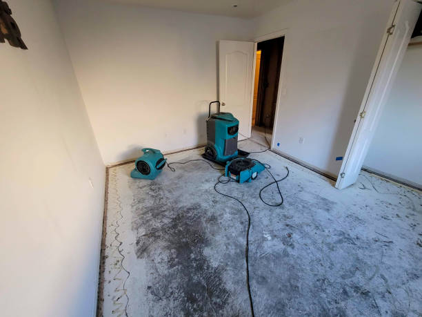 Best Fire Damage Restoration  in Vineyard, CA