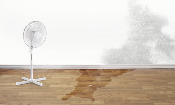 Best Local water damage restoration  in Vineyard, CA