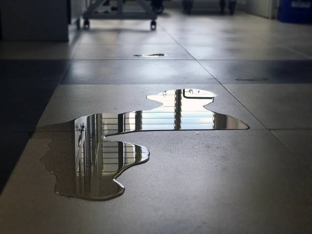 Professional Water damage restoration in Vineyard, CA