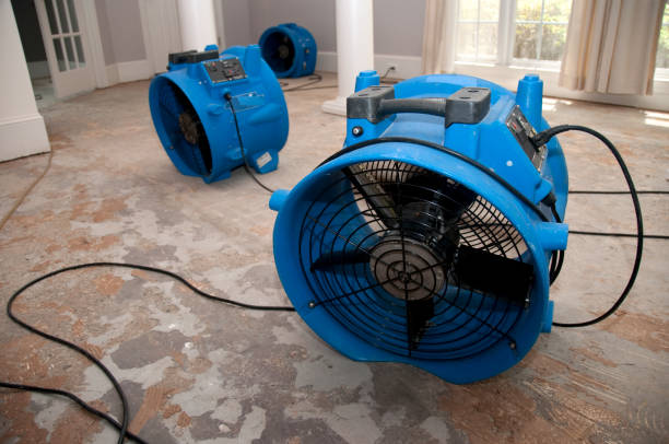 Best Residential water damage restoration  in Vineyard, CA
