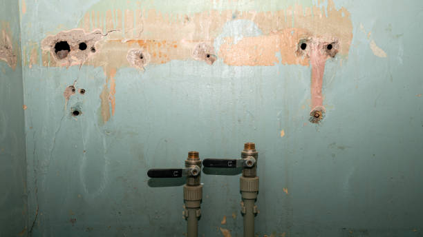 Best Water damage restoration near me  in Vineyard, CA
