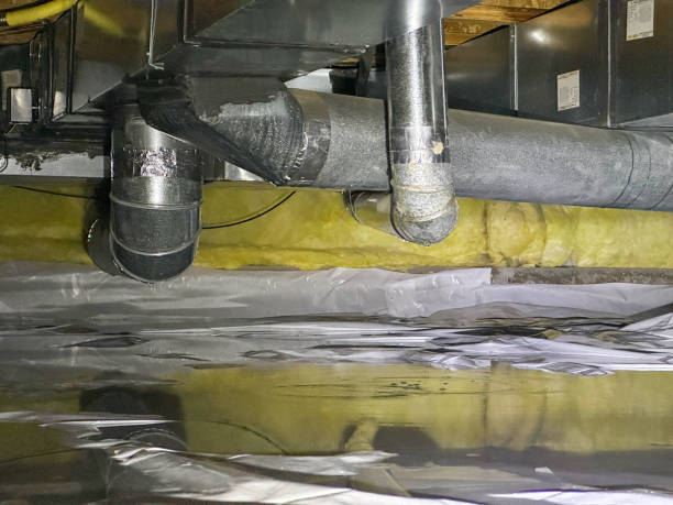 Best Flood restoration services  in Vineyard, CA