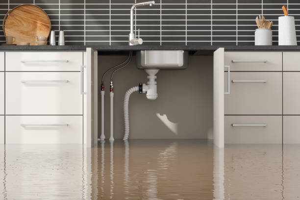 Water damage restoration mold remediation in Vineyard, CA