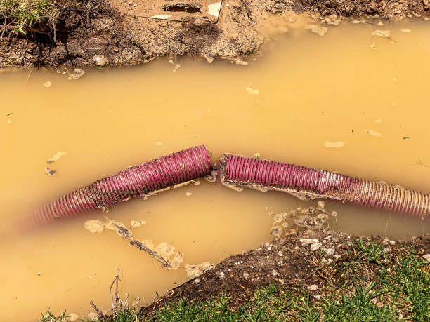  Vineyard, CA Water damage restoration Pros