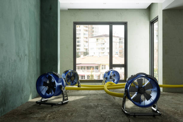 Best Professional water damage repair  in Vineyard, CA