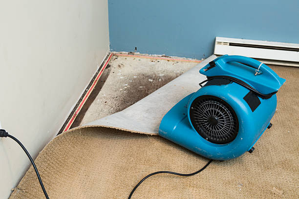 Best Water damage restoration near me  in Vineyard, CA